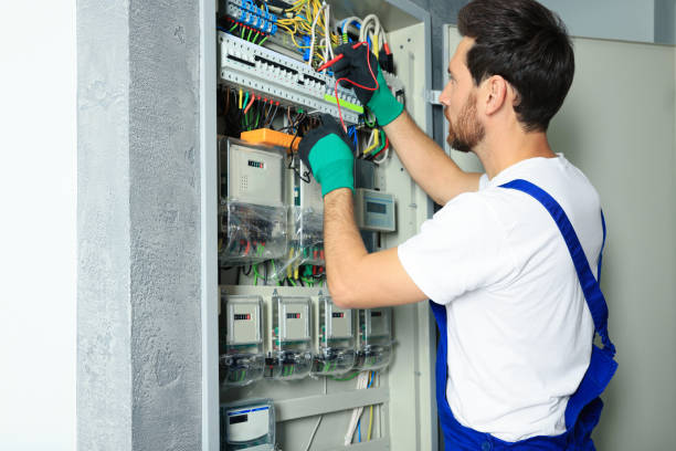 Best Ceiling Fan Installation Electrician  in Rock Creek, AL